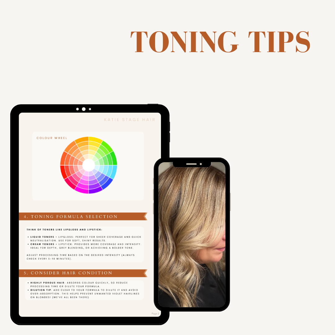 Toning Tips hair stylists ebook