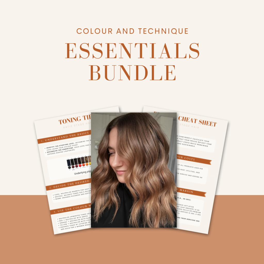 Colour and Technique bundle ebooks for hair stylists